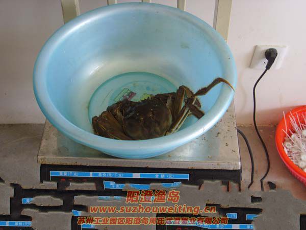 �������κ���բз3