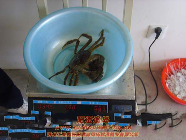 �������κ���բз1