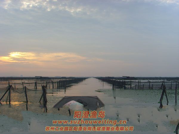 ���κ��뵺��з�˵�һ��ͼƬ��