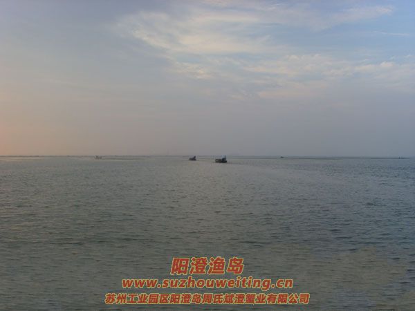 ���κ��뵺��з�˵�һ��ͼƬ��