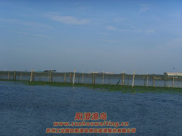 ���κ��뵺��з�˵�һ��ͼƬ��