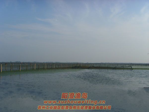 ���κ��뵺��з�˵�һ��ͼƬ��