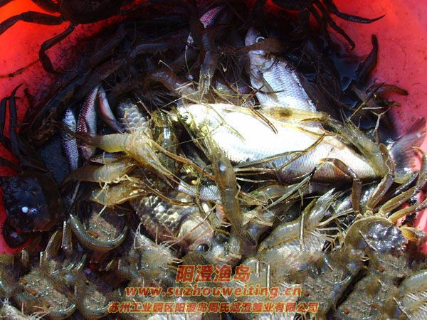 ���κ��뵺��з�˵�һ��ͼƬ��