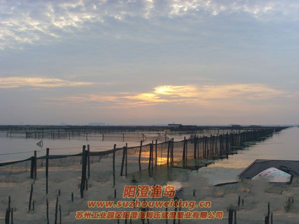 ���κ��뵺��з�˵�һ��ͼƬ��