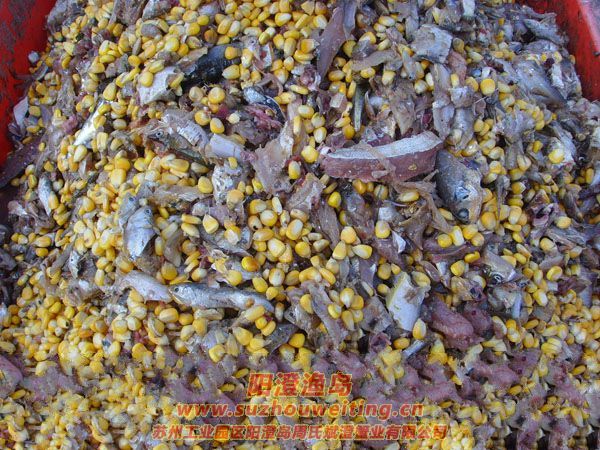 ���κ��뵺��з�˵�һ��ͼƬʮ��