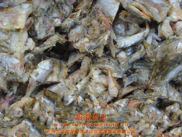 ���κ��뵺��з�˵�һ��ͼƬʮһ