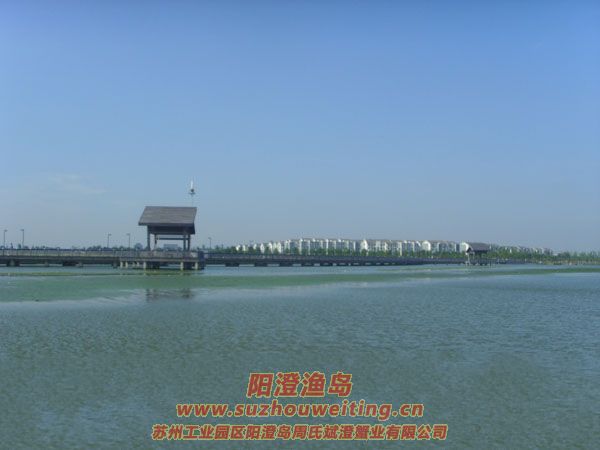 ���κ��뵺��з�˵�һ��ͼƬʮ��