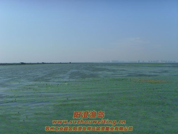 ���κ��뵺��з�˵�һ��ͼƬʮ��