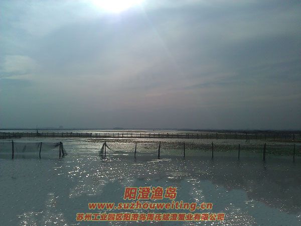 �����������κ�ͼƬһ