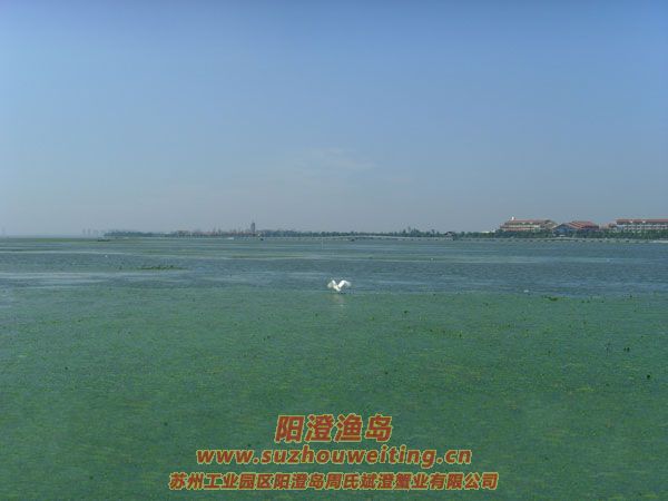 ���κ��뵺��з�˵�һ��ͼƬʮ��