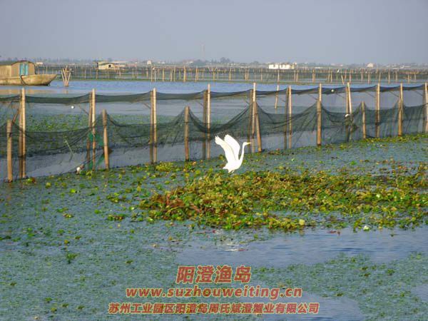 Ұ����ˮ�ʷɷ�