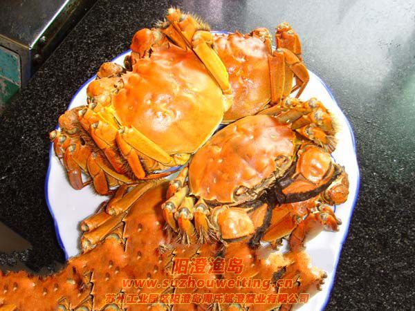 ��зҲҪ��ԭ��