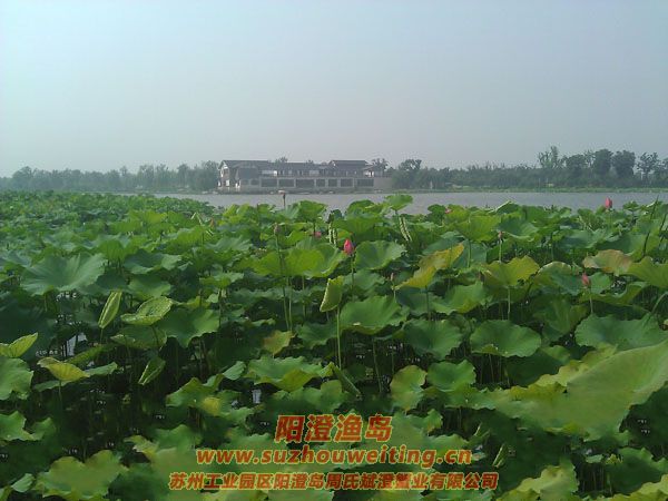 ���غ���԰ͼƬһ