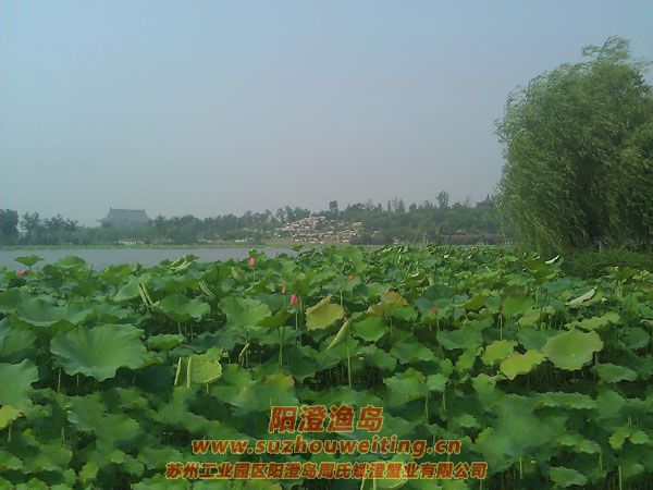 ���غ���԰ͼƬ��