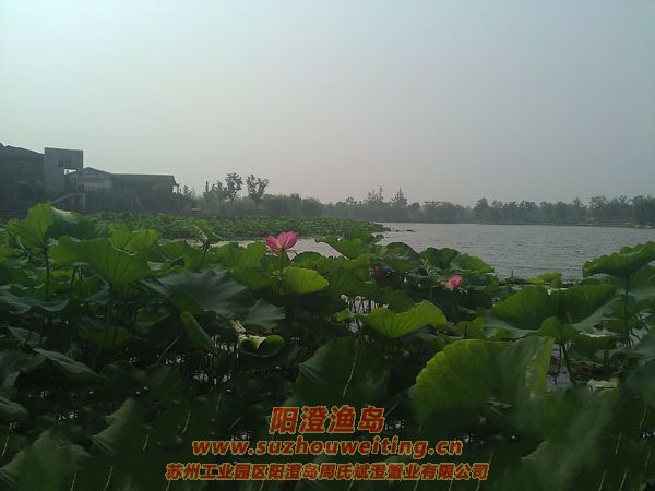 ���غ���԰ͼƬ��