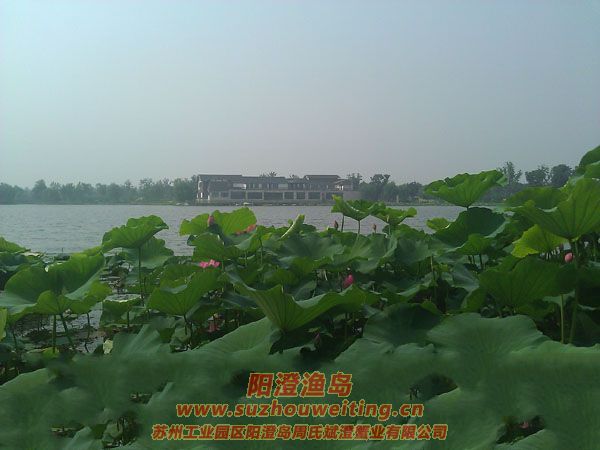 ���غ���԰ͼƬ��