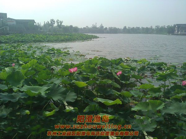 ���غ���԰ͼƬ��