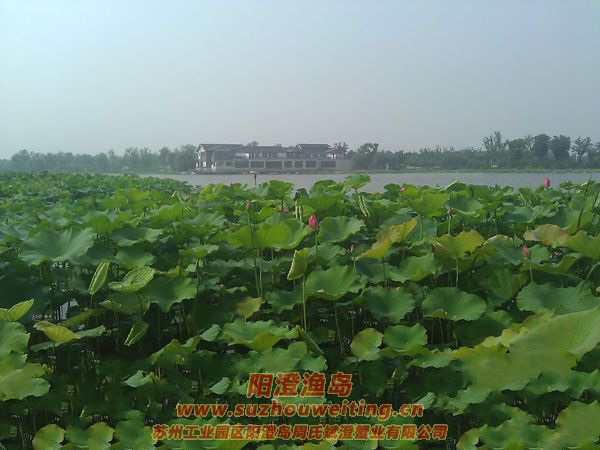 ���غ���԰ͼƬһ