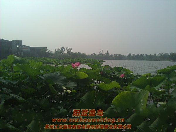 ���غ���԰ͼƬ��