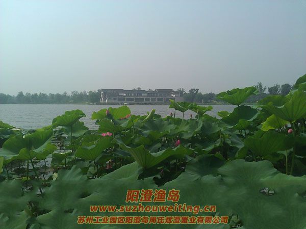 ���غ���԰ͼƬ��