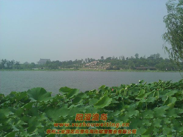 ���غ���԰ͼƬ��