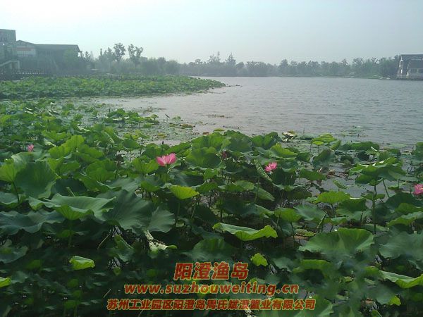 ���غ���԰ͼƬ��