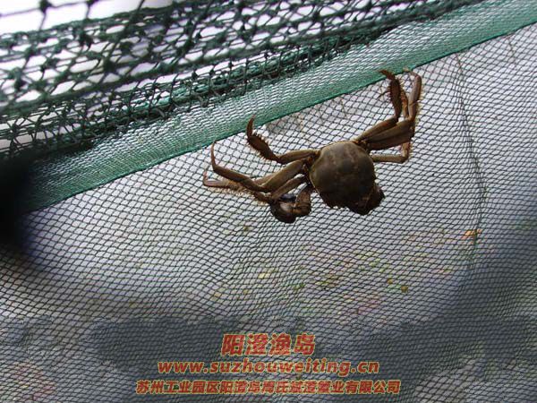 ��բз����ʷ�и������׶�����Щ����