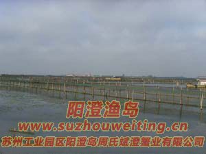 ��ֳ��ï�ܵ�ˮ��ͼƬ��