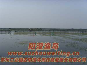 ��ֳ��ï�ܵ�ˮ��ͼƬ��