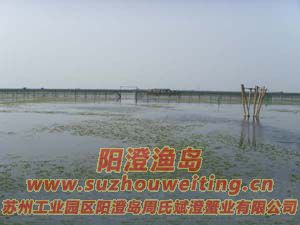 ��ֳ��ï�ܵ�ˮ��ͼƬһ