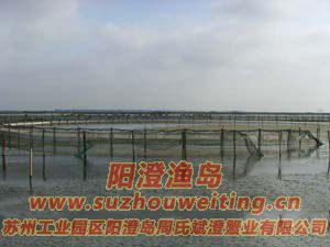 ��ֳ��ï�ܵ�ˮ��ͼƬ��