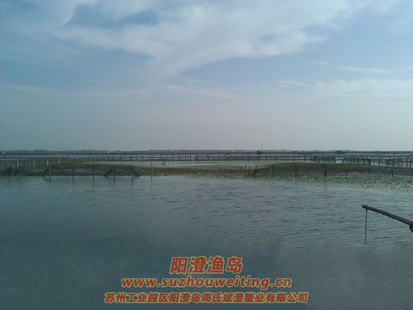 �����������κ�ͼƬ��