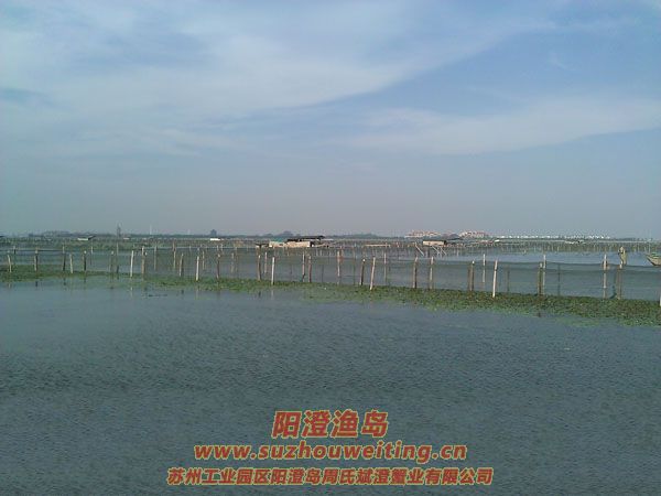 �����������κ�ͼƬ��