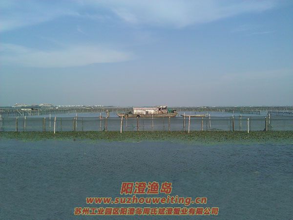 �����������κ�ͼƬ��