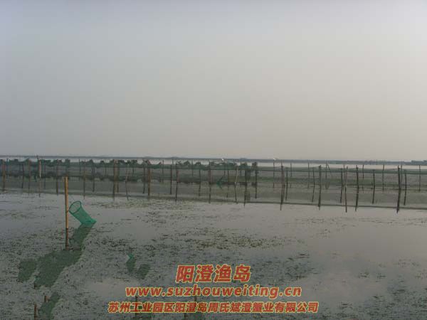 ��ֳ��ï�ܵ�ˮ��ͼƬʮ��