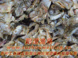 ���κ���բз����