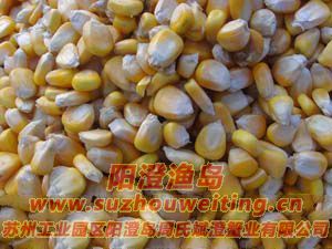 ���κ���բз����