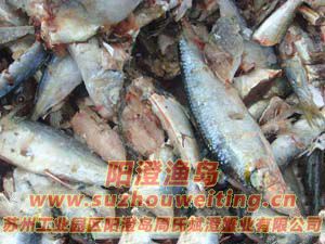 ���κ���բз����