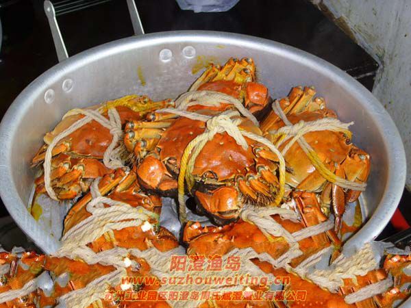 ���κ���բз