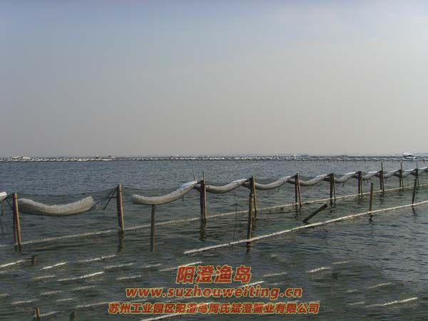 ��ֳ��ѩ��ͼƬ��