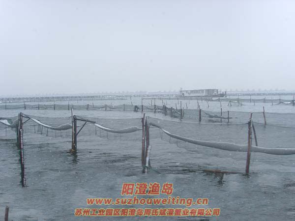 ��ֳ��ѩ��ͼƬһ