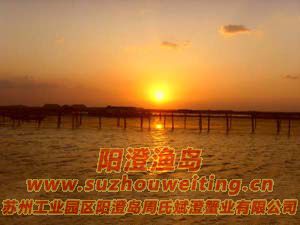 ���κ�����ͼƬһ