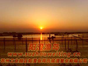 ���κ�����ͼƬ��