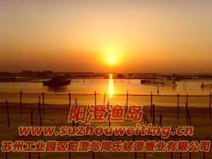 ���κ�����ͼƬ��