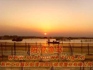 ���κ�����ͼƬ��