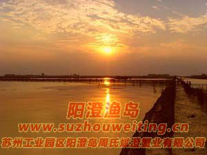 ���κ�����ͼƬ��