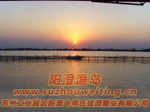 ���κ�����ͼƬ��