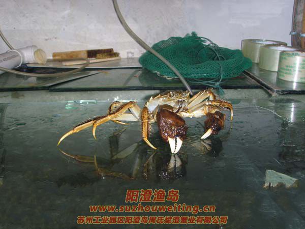 �������κ���բз�ص�֮һ