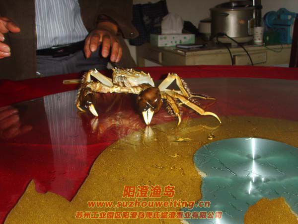 �������κ���բз�ص�֮һ