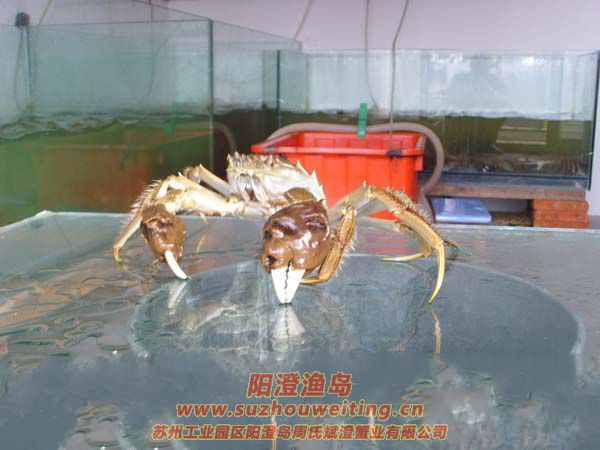 �������κ���բз�ص�֮һ